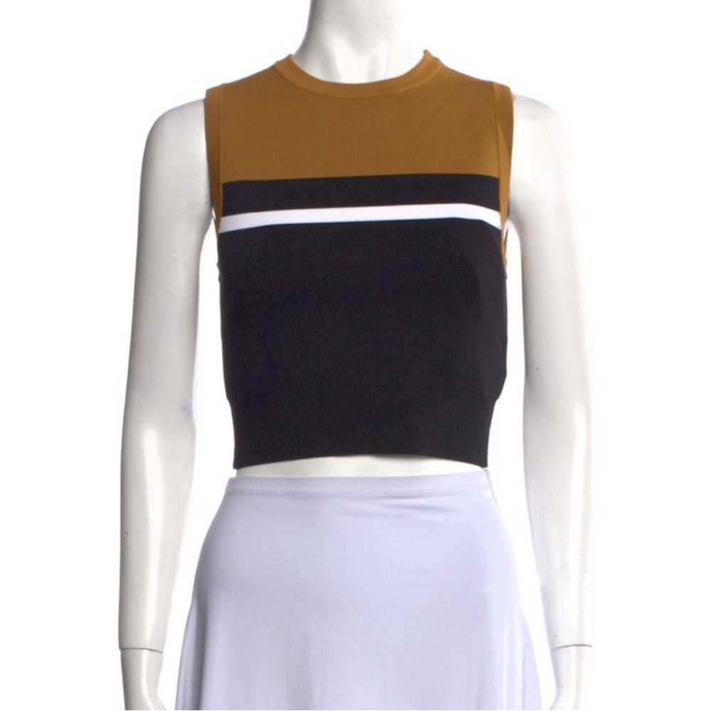 ALC Colorblock Sleeveless Top